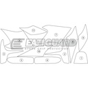 [GUARDTRI001] Eazi-Guard Paint Protection Film for Triumph Speed Triple 2011 - 2015, gloss or matte (Gloss) - image 1
