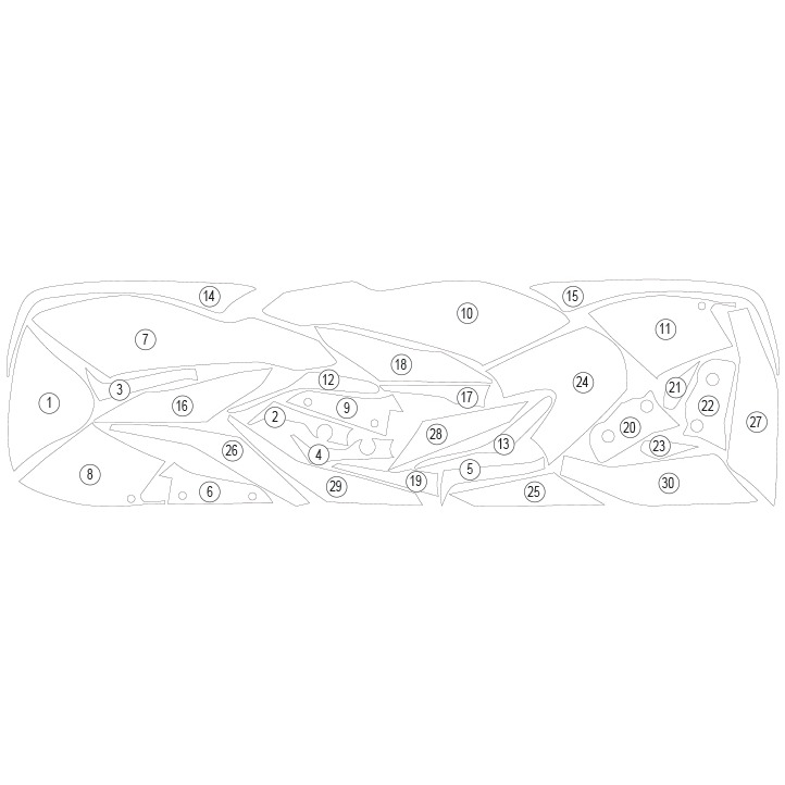 [GUARDTRI013] Eazi-Guard Paint Protection Film for Triumph Speed Triple 1200 RR, gloss or matte (Gloss) - image 1