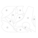 [TANKDUC003] Eazi-Guard Tank Protection Film for Ducati Panigale Streetfighter V4, gloss or matte (Gloss) - image 1