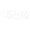 [TANKDUC010] Eazi-Grip Tank Protection Film for Ducati XDiavel V4 (Gloss) - image 1
