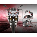 Eazi-Grip Paint Protection Film for Aprilia Tuono V4 2015 - 2017, gloss or matte