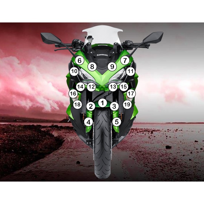 [GUARDKAW012] Eazi-Grip Paint Protection Film for Kawasaki Ninja 1000, gloss or matte (Gloss)