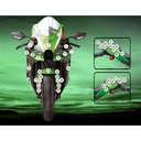 Eazi-Grip Paint Protection Film for Kawasaki ZX-10R RR, gloss or matte