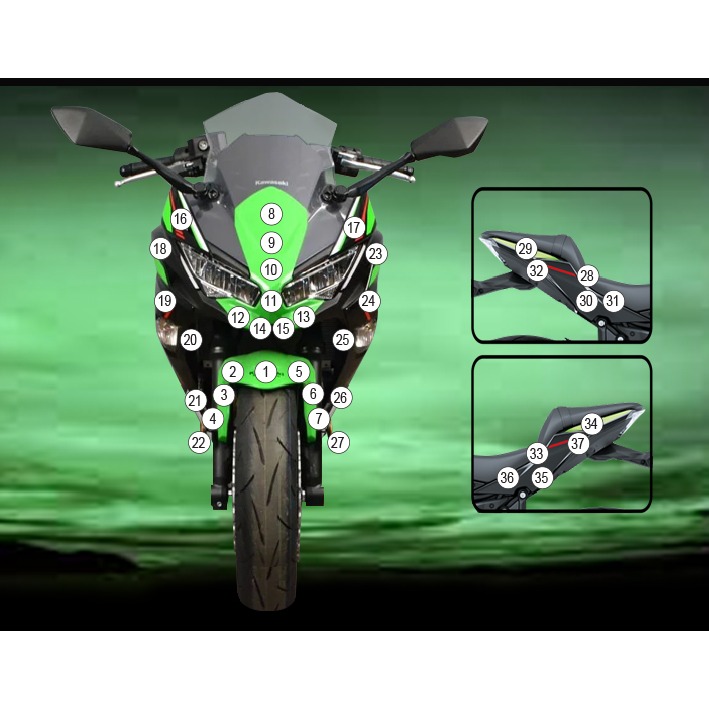 Eazi-Grip Paint Protection Film for Kawasaki Ninja 650, gloss or matte