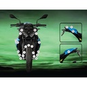 Eazi-Grip Paint Protection Film for BMW S 1000 R, gloss or matte