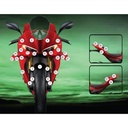 Eazi-Grip Paint Protection Film for Ducati Panigale V4, gloss or matte