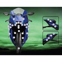 Eazi-Grip Paint Protection Film for Yamaha R9, gloss or matte