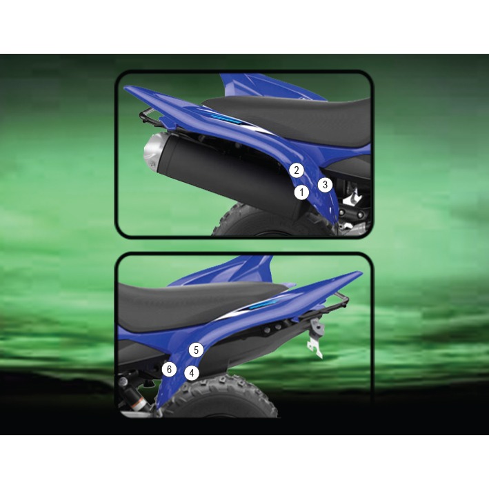 Eazi-Grip Paint Protection Film for Yamaha Raptor 700, gloss or matte
