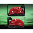 Eazi-Grip Tank Protection Film for Ducati Monster 890, gloss or matte